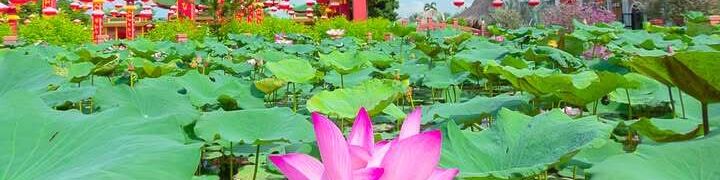 Công ty cổ phần Mga Việt Nam - chi nhánh an Giang