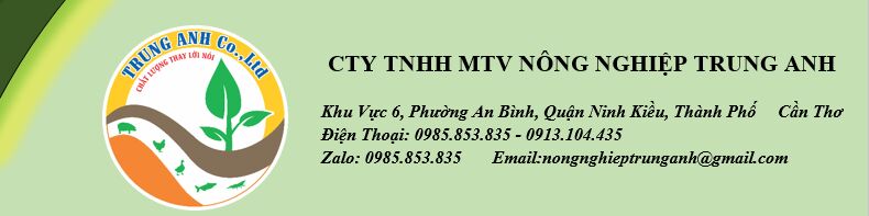 CTY TNHH MTV NÔNG NGHIỆP TRUNG ANH