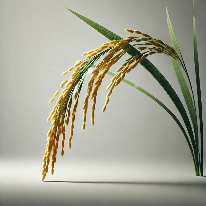 CÔNG TY TNHH XUẤT NHẬP KHẨU AGRISUN